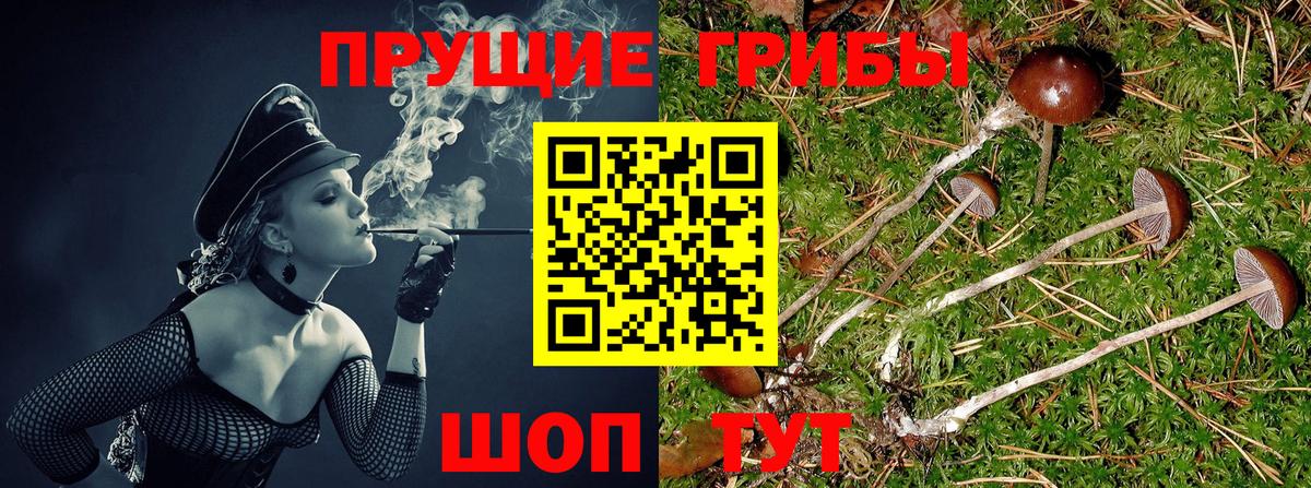 Галлюциногенные грибы мухоморы  Вход с VPN  Псилоцибиновые грибы Magic Shrooms  закладки  Кострома 