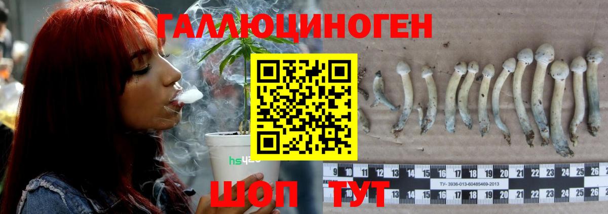 Галлюциногенные грибы мухоморы Кострома